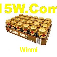 Winmi App Interface