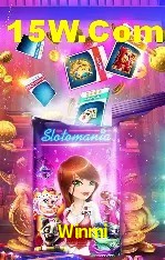 Experiência VIP Winmi